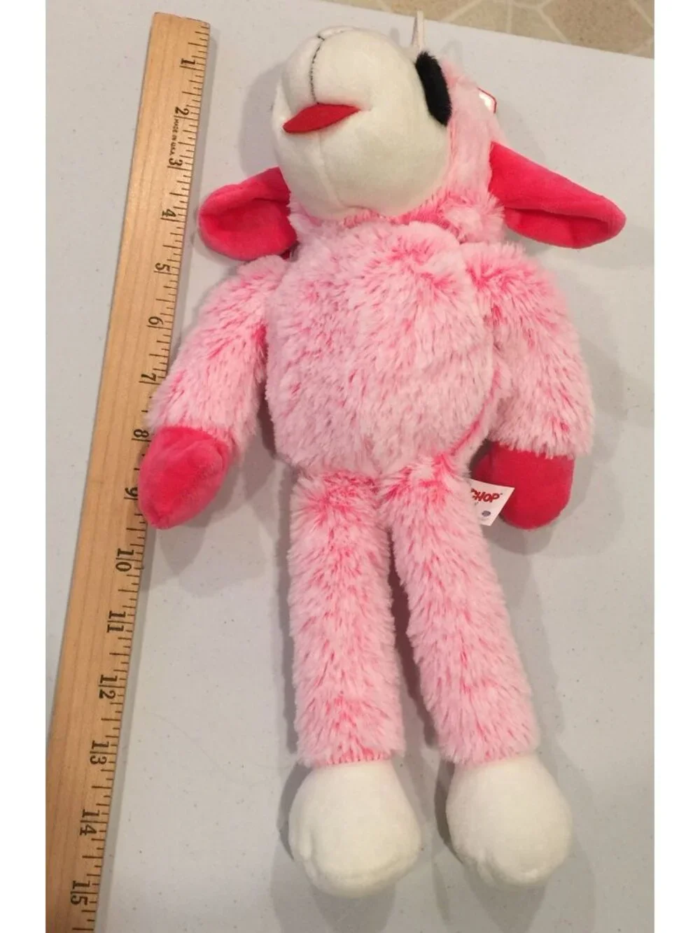 Lamb Chop 13